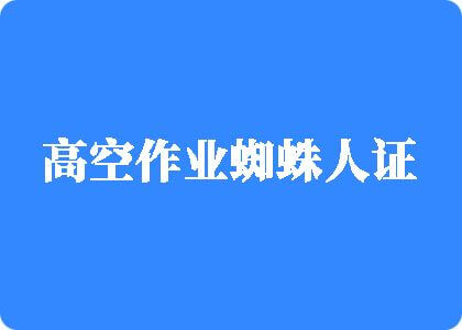 啊啊啊啊啊啊好粗插进来呀呜呜呜呜视频在线观看高空作业蜘蛛人证